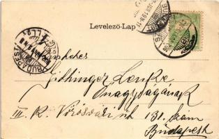 1902 Szentes, Petőfi szálloda. Untermüller E. kiadása, Art Nouveau, floral, litho (EK)