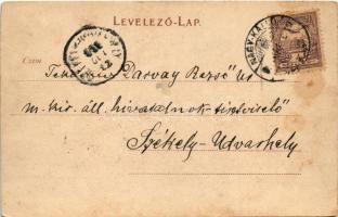 1901 Eger, látkép. Weiss Béla kiadása (EK)