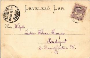 1900 Felsőgalla (Tatabánya), Kőszénbánya, Királdi Herz Zsigmond akna, iparvasút. Strausz Jakab kiadá...