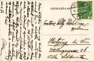 1913 Alsószeleste (Szeleste), Tiszttartó lak, Báró Baich Mihály kastélya