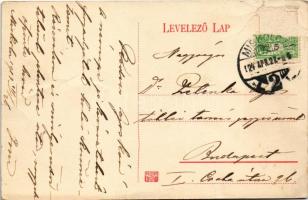 1913 Miskolc, Tűzköves, Nyári lak, villa. Barna felvétele (Rb)