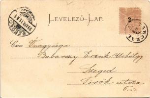 1899 (Vorläufer) Nyíregyháza, Vármegyeház, Városi palota, színház. Ferenczi József kiadása (EK)