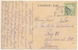 1916 Pándorfalu, Parndorf; Gróf Harrach-féle uradalmi főintézőség / Gräfl. Harrachsche ökonom. Oberv...