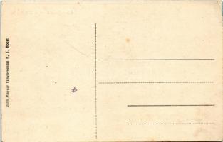 Abaújszina, Szina, Sena; utca / street (EK)