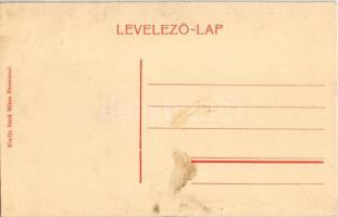 Pécsvárad, vár külseje, vár kert. Stark Miksa kiadása (gyűrődés / crease)