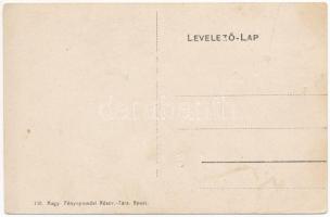 Pécska, Ópécska, Pecica; M. kir. önálló gazdasági népiskola majorja / school's manor, farm (EK)