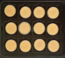 Ifj. Szlávics László (1959-) ~2011-2016. "Nagy magyarok" aranyozott Cu emlékérmék (29xklf)...