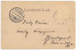 1900 Félixfürdő, Baile Felix; Étterem, Viktória szálloda, Erzsébet lak, Orvosi lak. Farkas Sándor fé...