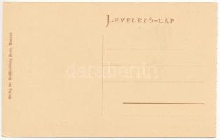 Medgyes, Mediasch, Medias; Marktplatz mit Kaufhaus im Jahre 1854 / Piac tér és üzlet 1854-ben. Franz...