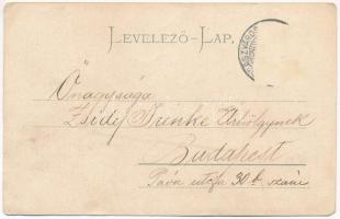 1902 Szászváros, Broos, Orastie; Régi posta utca, Villa Antoni, Vár malom. Graef H. kiadása / street...