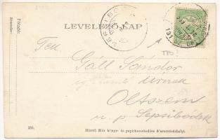 1909 Marosvásárhely, Targu Mures; Kossuth Park és Széchenyi tér, Peteli János, Nuridsányi János, Izm...