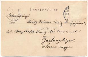 1900 Temesvár, Timisoara; Gyárváros, városi sziget, Bega csatorna mentén. Bernárd E. fényképész / Fa...