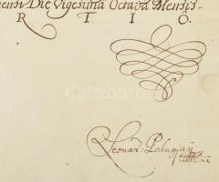 1740 gróf Pálffy János (1664-1751) nádor adománylevele Vásonyi Kovács György részére a Somogy megyei...