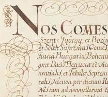 1740 gróf Pálffy János (1664-1751) nádor adománylevele Vásonyi Kovács György részére a Somogy megyei...