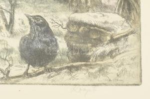 Komjáti-Wanyerka Gyula (1894-1958): Tavasz akar lenni. Színezett rézkarc, papír, jelzett, üvegezett ...