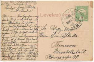 1908 Tornalja, Tornallya, Safárikovo, Tornala; Városháza, Glücksthal József üzlete / town hall, shop...