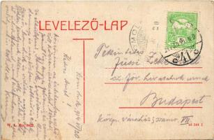 1914 Szomolnok, Schmölnitz, Smolník; Dohány gyár, Turek A. Sándor üzlete. W.L. Bp. 2673. / tobacco f...