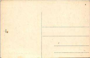 Szentmihályfa, Szt. Mihályfa, Michal na Ostrove (Dunaszerdahely, Dunajská Streda); községháza, római...