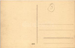 Temesvár, Timisoara; Hungária fürdő, híd, villamos / Baia Centrala / Hungaria-Bad / bath, bridge, tr...