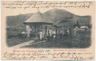 1901 Dorna Candrenilor, Kandrenj, Dornakandren (Vatra Dornei); Mineral Quelle und Berg Ousor / mineral water spring (EK)