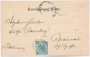 1901 Dorna Candrenilor, Kandrenj, Dornakandren (Vatra Dornei); Mineral Quelle und Berg Ousor / miner...