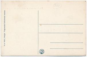 Dicsőszentmárton, Tarnaveni, Diciosanmartin; Kaszinó és villasor. Hangya szövetkezet kiadása / casin...