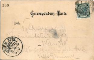 1900 Schneeberg, Haltstelle Baumgartner, Baumgartnerhaus. Art Nouveau, floral, litho