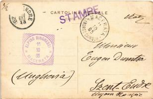 1905 Macerata, Regionale Esposizione Marchigiana, Ingresso Principale. A. Palmieri / Expo advertisem...