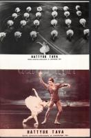 cca 1980 előtt készült ,,Hattyúk tava" című balettfilm jelenetei és szereplői, 19 db vintage produkciós filmfotó ezüst zselatinos fotópapíron, a használatból eredő (esetleges) kisebb hibákkal, 18x24 cm