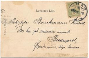 1903 Arad, Szabadságtér, piac, Kuttn Gy., Domán Mihály, Schlesinger Lipót üzlete, Agria Biztosító. K...