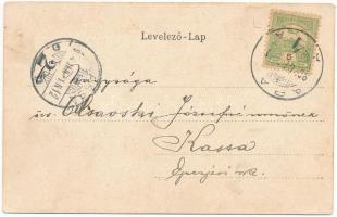 1903 Arad, Vértanú szobor, színház, üzletek. Szecessziós virágos, pókos montázs / statue, theatre. A...