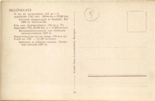 Mezőhegyes, Központi répaszeszgyár és finomító. M. kir. állami ménesintézet