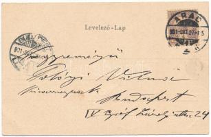 1901 Arad, Szabadságtér, piac, üzletek. Szecessziós magyar zászlós montázs / square, market, shops. ...