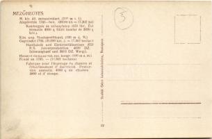 Mezőhegyes, Kendergyár és villanytelep. M. kir. állami ménesintézet