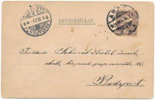 1901 Arad, Városháza. Szecessziós virágos keret / town hall. Art Nouveau, floral (felületi sérülés /...