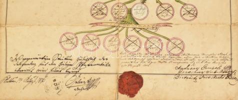 1846 Leszármazási tábla. Putak és Bordy? család. Kézzel festett, számos, klf címletű benyomott szign...