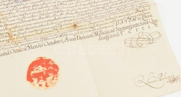 1713 gróf Pálffy János (1664-1751) nádor megerősítő levele Vásonyi Kovács György részére a Somogy me...