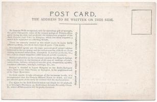 Pöstyén, Pistyan, Piestany; Basch Árpád festményei a pöstyéni fürdőről az 1908-as londoni Magyar Kiá...