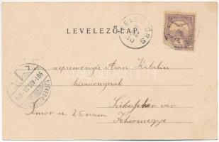 1901 Balaton, Baross gőzhajó. Köves Béla kiadása