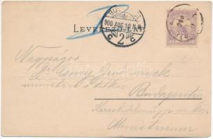 1900 Balatonberény, nyaralók, kilátás Badacsony felé, Megálló-hely, vasútállomás. Mérei Ignác kiadás...