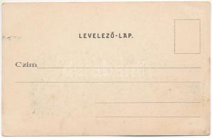 Siófok, kirándulók a Baross gőzösön. Ellinger Ede cs. és kir. udvari fényképész (EK)