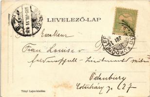 1905 Fonyód, Várhegy és Balaton. Tényi Lajos kiadása (EK)