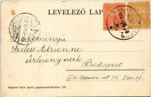 1905 Siófok, Sió részlete, gőzös. Klein Ignác kiadása (EK)