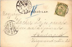 1903 Balaton, delelés a parton, szürkemarha gulya. Mérei Ignác 149. 1903. (fl)