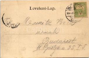 1904 Balatonföldvár, Zrínyi szálloda előtti park. Gerendai Gyula 144. (fa)