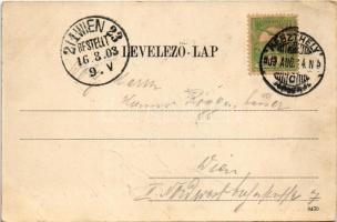1903 Keszthely, Balaton part, fürdőház, csónakos. Vasvári József kiadása (EK)