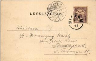 1901 Siófok, Halászat a Balatonon. Ellinger Ede fényképész