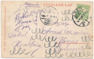 1909 Arad, Újarad, Új-Arad, Aradul Nou; Uradalmi kastély. Kiadja Mayr Lajos / castle (EK)