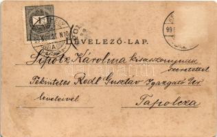 1899 (Vorläufer) Zalaszántó, Tátika várrom kirándulókkal, Kisfaludy Sándor verse. Mérei Ignác kiadás...