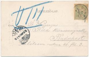 1905 Sztracenai-völgy, Stracenovska dolina, Stratena; Tájrészlet a sztraczenai völgyből / Partie aus...